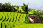 Tour Hà Nội – V’resort – Hà Nội (2ngày)